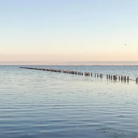 Nyaraló Julianehab Romo Vi